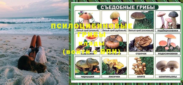 стаф Новочеркасск