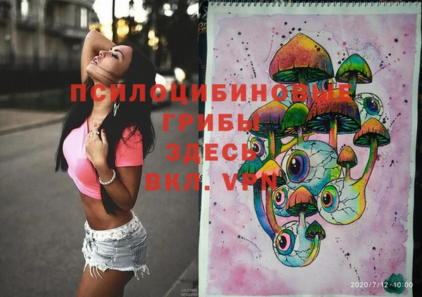 стафф Волосово